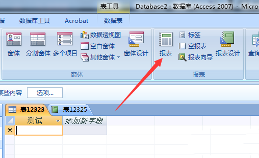 access数据库修改报表微标的操作方法