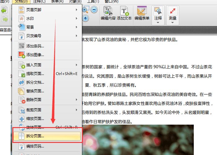 迅捷pdf编辑器拆分PDF页面的操作教程