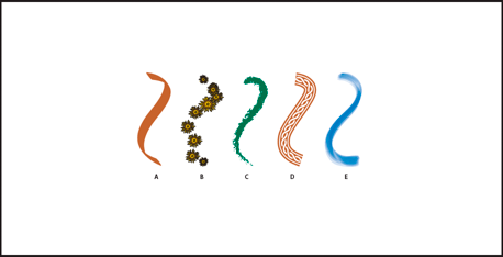 Illustrator中怎么使用画笔?Illustrator使用画笔的方法
