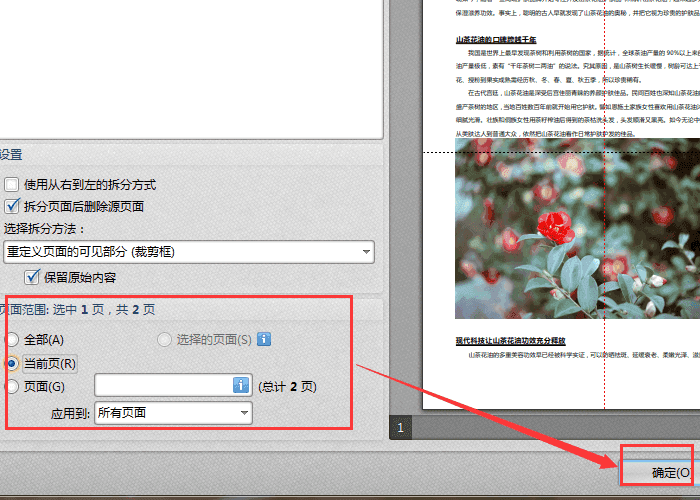 迅捷pdf编辑器拆分PDF页面的操作教程