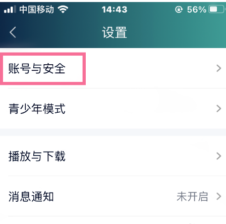 爱奇艺怎么更改登录密码 爱奇艺登录密码更改方法