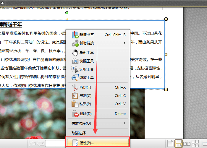 迅捷pdf编辑器为文件中部分文字加粗的操作教程