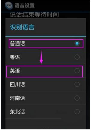 讯飞输入法设置识别语言的操作教程