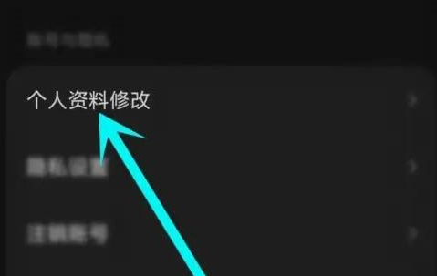 汽水音乐怎样设置定位？汽水音乐设置定位的方法