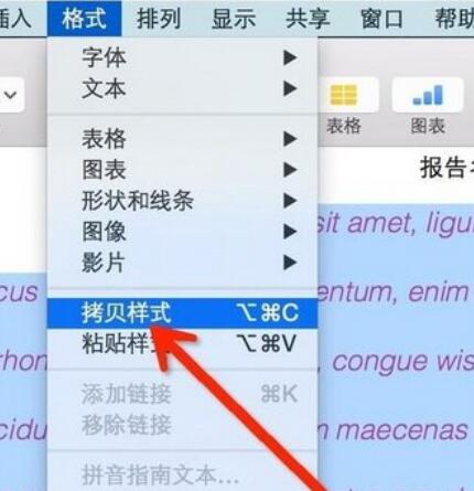 pages使用格式刷的详细操作步骤
