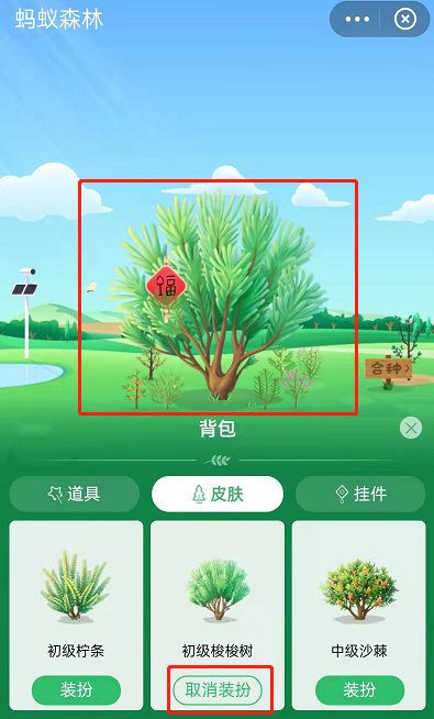 蚂蚁森林怎么获取已种树永久皮肤？支付宝蚂蚁森林获取已种树永久皮肤的方法