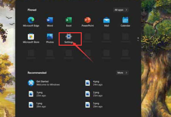 Windows11如何暂停更新?Windows11暂停更新技巧