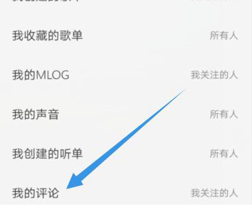 网易云音乐我的评论如何不让陌生人看 网易云音乐评论仅关注人可见方法