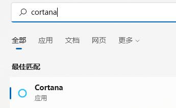 Win11语音助手如何开启？Win11语音助手开启步骤