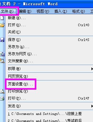 word2003进行页面设置的具体操作步骤
