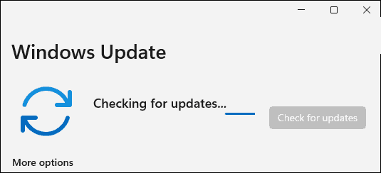 手动更新Windows11怎么操作?手动更新Windows11操作教程