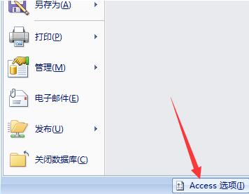 access数据库应用程序图标设置操作过程
