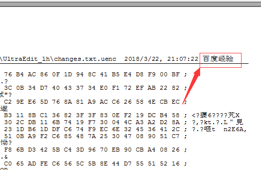 UltraEdit文件页面添加页眉的详细操作过程