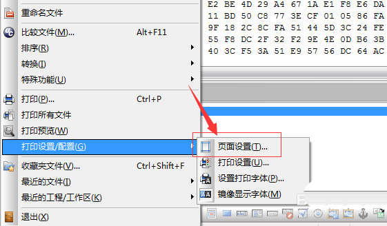UltraEdit文件页面添加页眉的详细操作过程