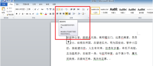 word2010项目符号的操作教程