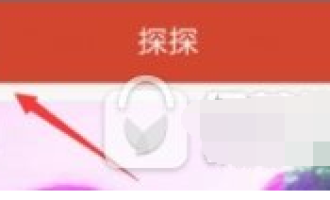 我来教你将探探分享到朋友圈的具体方法。