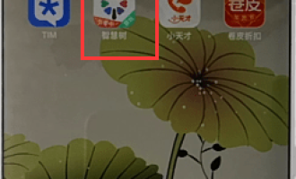 关于智慧树中上传照片的具体图文介绍。