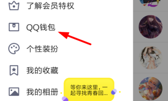 小编分享在QQ钱包中拼手气领红包的步骤讲解。