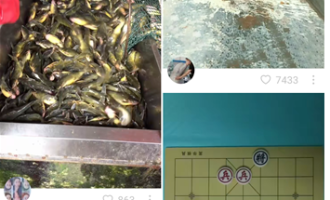 小编分享教大家在快手APP里屏蔽不喜欢的视频。