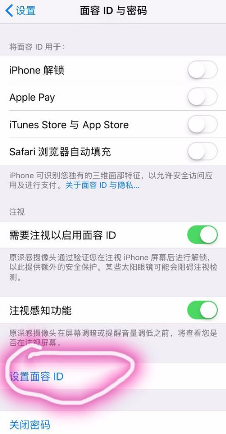 在iPhone xr中设置人脸识别的步骤介绍
