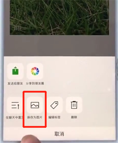 苹果7plus截长图的详细操作