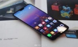 小编分享在华为p30pro使用智慧识物的图文教程方法。