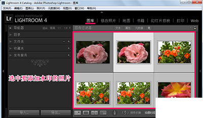 lightroom为图片添加水印的详细操作教程