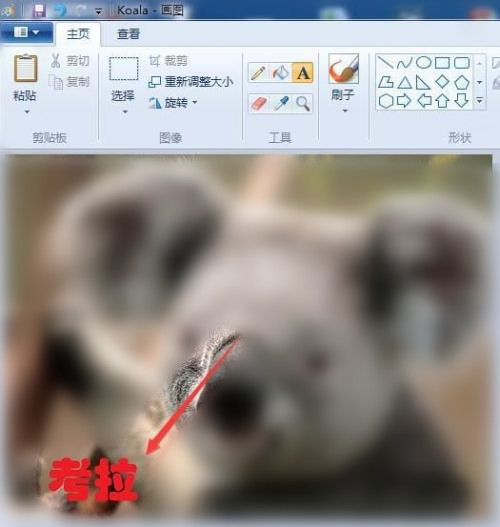 画图工具将图片添加文字的方法步骤